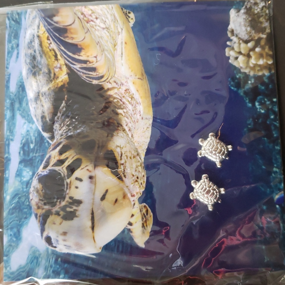 Zoombie Turtle Earrings*NWOT*